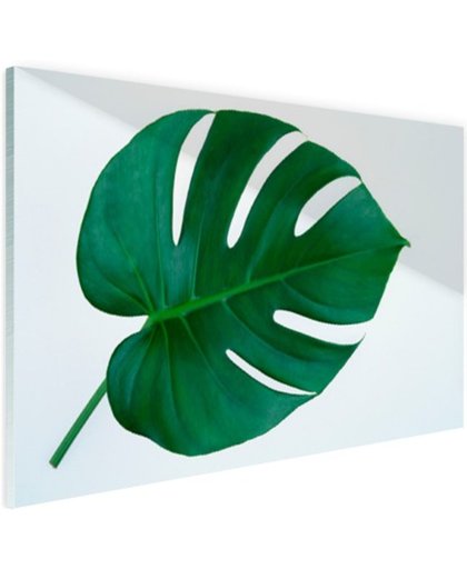 FotoCadeau.nl - Botanische print van een gatenplant Glas 120x80 cm - Foto print op Glas (Plexiglas wanddecoratie)