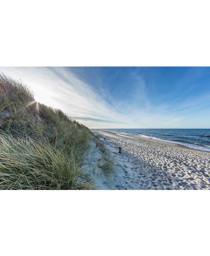 Ter Halle Schilderij RVS-Look Duinen, strand en zee 118x70cm - Dibond