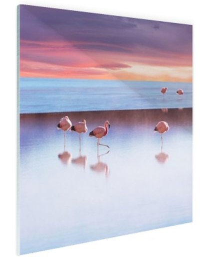 FotoCadeau.nl - Flamingos bij zonsondergang Glas 120x80 cm - Foto print op Glas (Plexiglas wanddecoratie)