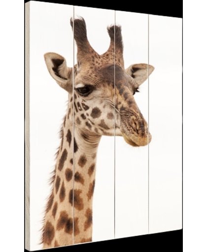 Portret van een giraffe Hout 120x160 cm - Foto print op Hout (Wanddecoratie)