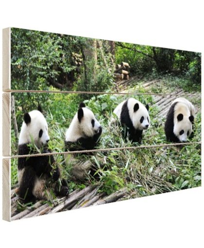 FotoCadeau.nl - Reuze pandas in de natuur Hout 60x40 cm - Foto print op Hout (Wanddecoratie)