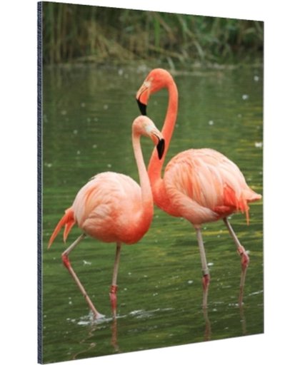 Twee rode flamingos Aluminium 20x30 cm - Foto print op Aluminium (metaal wanddecoratie)