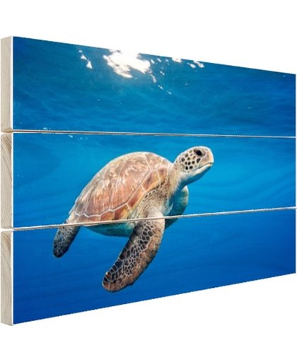 FotoCadeau.nl - Schildpad in de oceaan Hout 60x40 cm - Foto print op Hout (Wanddecoratie)
