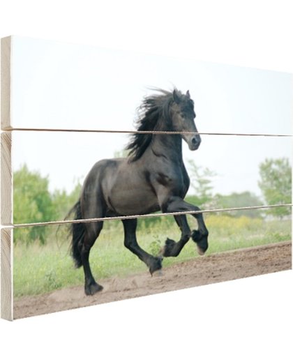 FotoCadeau.nl - Prachtig zwart paard Hout 120x80 cm - Foto print op Hout (Wanddecoratie)