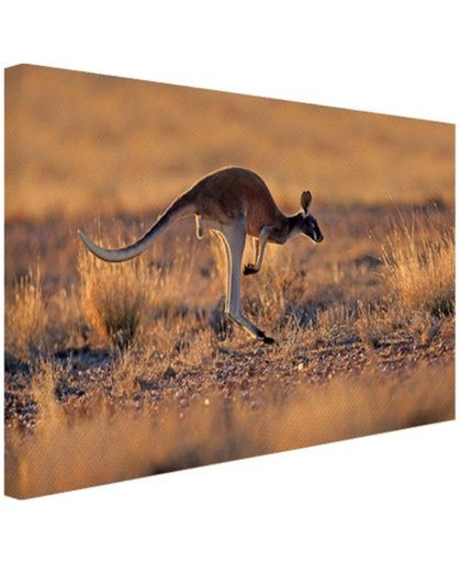 FotoCadeau.nl - Springende kangoeroe warme gloed Canvas 30x20 cm - Foto print op Canvas schilderij (Wanddecoratie)