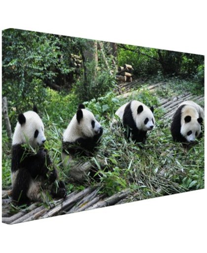 FotoCadeau.nl - Reuze pandas in de natuur Canvas 120x80 cm - Foto print op Canvas schilderij (Wanddecoratie)