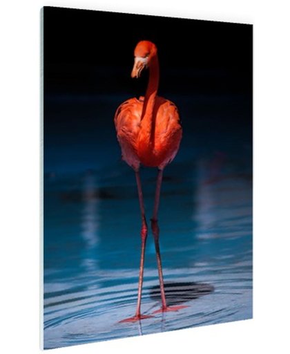 FotoCadeau.nl - Flamingo donkere achtergrond Glas 60x90 cm - Foto print op Glas (Plexiglas wanddecoratie)