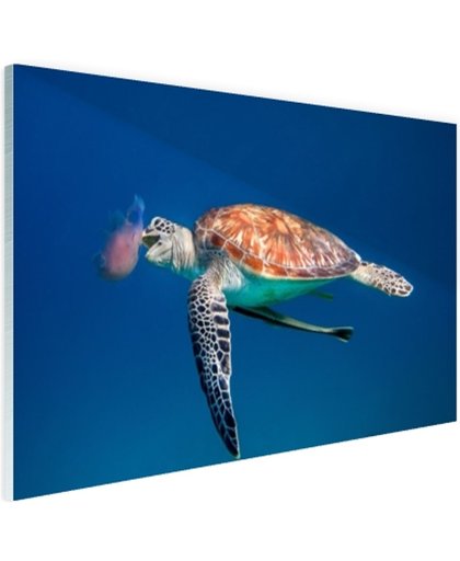 FotoCadeau.nl - Zeeschildpad blauw water met kwal Glas 120x80 cm - Foto print op Glas (Plexiglas wanddecoratie)