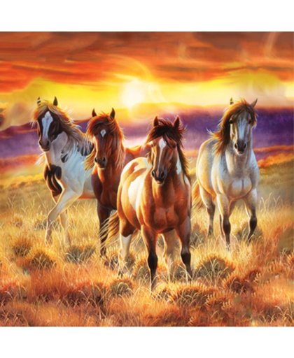 Diamond Painting Pakket Prachtige Paarden in het Veld - Volledig - Full - 30x30 cm - SEOS Shop ®