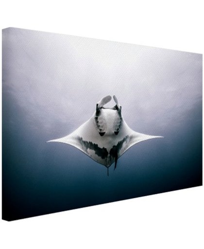 FotoCadeau.nl - Onderaanzicht mantarog in de oceaan Canvas 60x40 cm - Foto print op Canvas schilderij (Wanddecoratie)