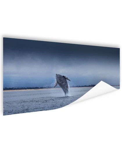 FotoCadeau.nl - Brede foto van springende walvis Poster 90x60 cm - Foto print op Poster (wanddecoratie)