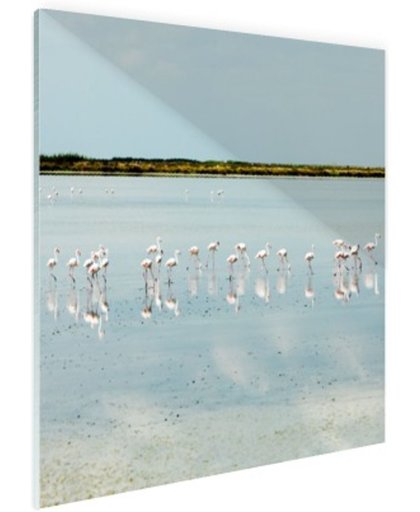 FotoCadeau.nl - Moderne foto met flamingos Glas 50x50 cm - Foto print op Glas (Plexiglas wanddecoratie)