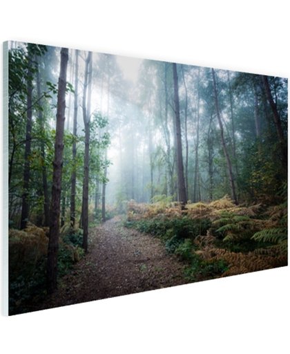 FotoCadeau.nl - Een mistig pad door het bos Glas 30x20 cm - Foto print op Glas (Plexiglas wanddecoratie)