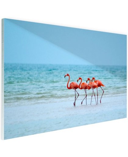 FotoCadeau.nl - Roze flamingos in het water  Glas 60x40 cm - Foto print op Glas (Plexiglas wanddecoratie)