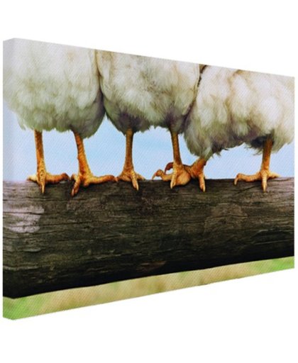 FotoCadeau.nl - Foto kippenpoten afdruk Canvas 80x60 cm - Foto print op Canvas schilderij (Wanddecoratie)