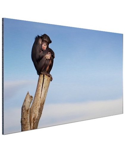 FotoCadeau.nl - Chimpansee op boomstam Aluminium 120x80 cm - Foto print op Aluminium (metaal wanddecoratie)