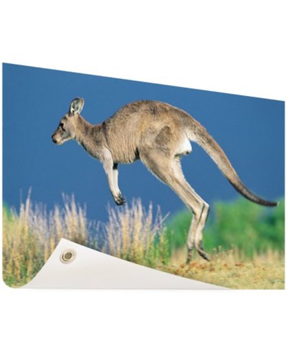 FotoCadeau.nl - Springende kangoeroe Tuinposter 60x40 cm - Foto op Tuinposter (tuin decoratie)