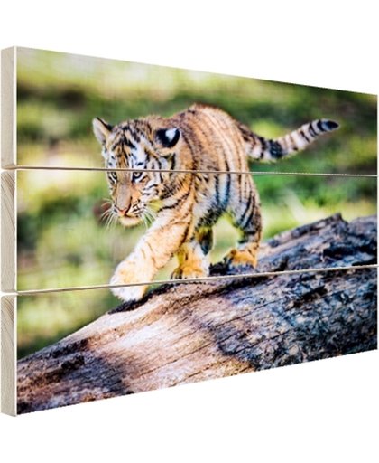 FotoCadeau.nl - Jong tijgertje loopt op boomstam Hout 30x20 cm - Foto print op Hout (Wanddecoratie)