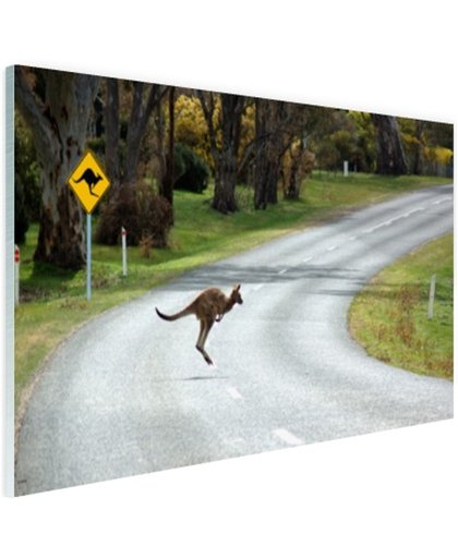 Overstekende kangoeroe Glas 120x80 cm - Foto print op Glas (Plexiglas wanddecoratie)