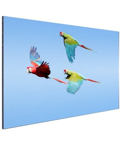 FotoCadeau.nl - Drie vliegende aras Aluminium 90x60 cm - Foto print op Aluminium (metaal wanddecoratie)
