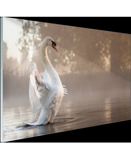 FotoCadeau.nl - Zwaan in mistig meer Glas 90x60 cm - Foto print op Glas (Plexiglas wanddecoratie)