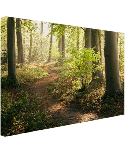 FotoCadeau.nl - Een bospad verlicht door de zon Canvas 80x60 cm - Foto print op Canvas schilderij (Wanddecoratie)