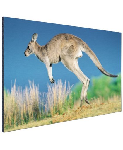 FotoCadeau.nl - Springende kangoeroe Aluminium 30x20 cm - Foto print op Aluminium (metaal wanddecoratie)