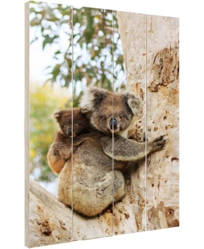 FotoCadeau.nl - Koala met welp op een eucalyptusboom Hout 60x80 cm - Foto print op Hout (Wanddecoratie)