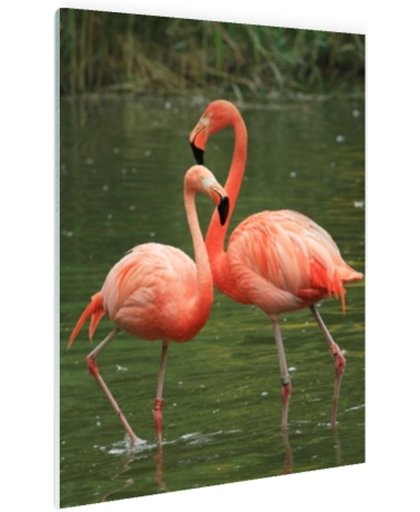 Twee rode flamingos Glas 20x30 cm - Foto print op Glas (Plexiglas wanddecoratie)