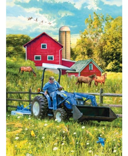 SunsOut Greg Giordano - New Holland out in the field (1000)