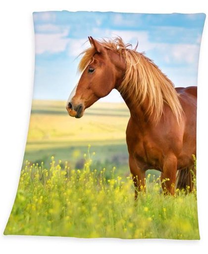 Horse - Plaid - Polyester - 130x160 cm - Multi kleur