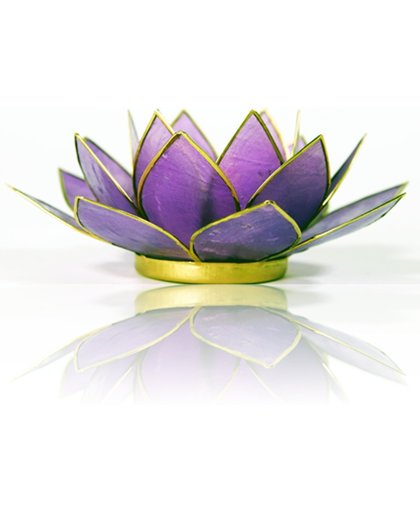 Lotus sfeerlicht lila (13.5 cm)