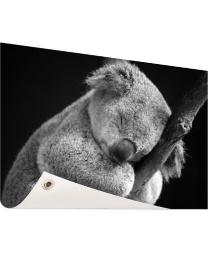 FotoCadeau.nl - Een slapende koala Tuinposter 60x40 cm - Foto op Tuinposter (tuin decoratie)