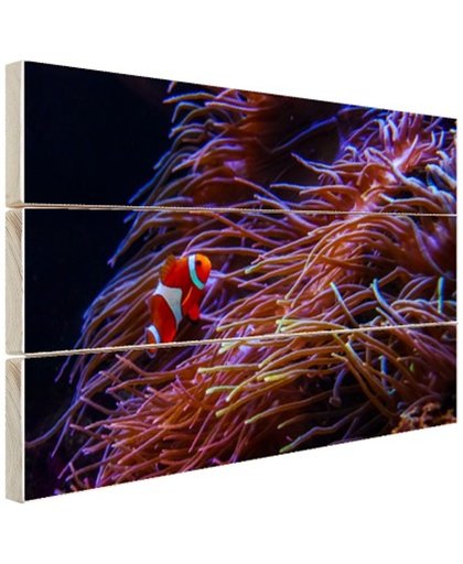 FotoCadeau.nl - Nemo clown vis bij koraal Hout 80x60 cm - Foto print op Hout (Wanddecoratie)