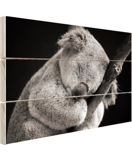 FotoCadeau.nl - Een slapende koala Hout 120x80 cm - Foto print op Hout (Wanddecoratie)