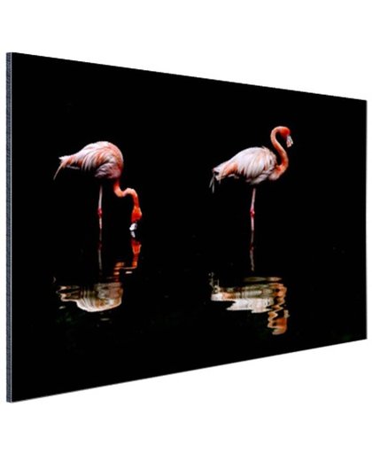 FotoCadeau.nl - Twee flamingos met reflectie in water Aluminium 60x40 cm - Foto print op Aluminium (metaal wanddecoratie)