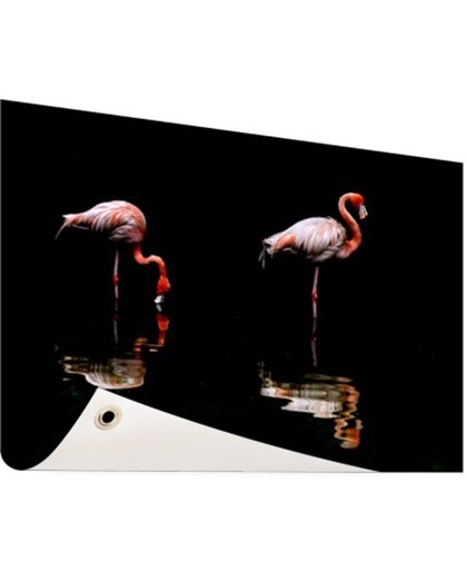 FotoCadeau.nl - Twee flamingos met reflectie in water Tuinposter 120x80 cm - Foto op Tuinposter (tuin decoratie)