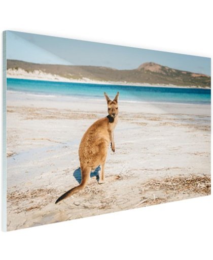 FotoCadeau.nl - Omkijkende kangoeroe Glas 120x80 cm - Foto print op Glas (Plexiglas wanddecoratie)