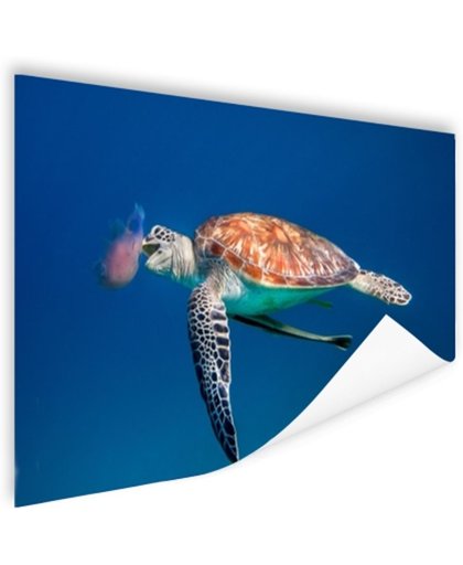 FotoCadeau.nl - Zeeschildpad blauw water met kwal Poster 180x120 cm - Foto print op Poster (wanddecoratie)