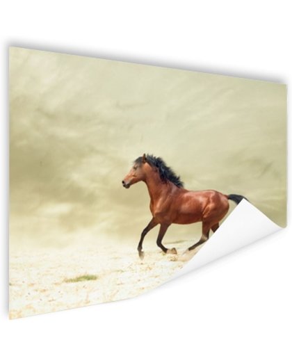 FotoCadeau.nl - Galopperend paard Poster 90x60 cm - Foto print op Poster (wanddecoratie)