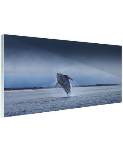 FotoCadeau.nl - Brede foto van springende walvis Glas 90x60 cm - Foto print op Glas (Plexiglas wanddecoratie)