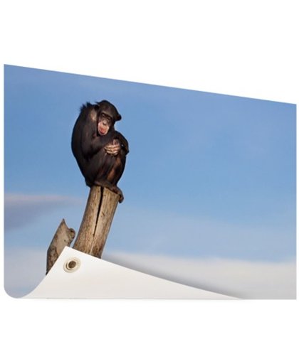 FotoCadeau.nl - Chimpansee op boomstam Tuinposter 200x100 cm - Foto op Tuinposter (tuin decoratie)