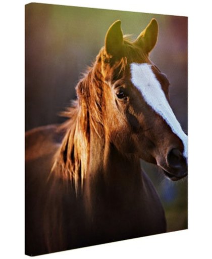 FotoCadeau.nl - Portret van paard afdruk Canvas 80x120 cm - Foto print op Canvas schilderij (Wanddecoratie)