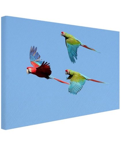 FotoCadeau.nl - Drie vliegende aras Canvas 120x80 cm - Foto print op Canvas schilderij (Wanddecoratie)