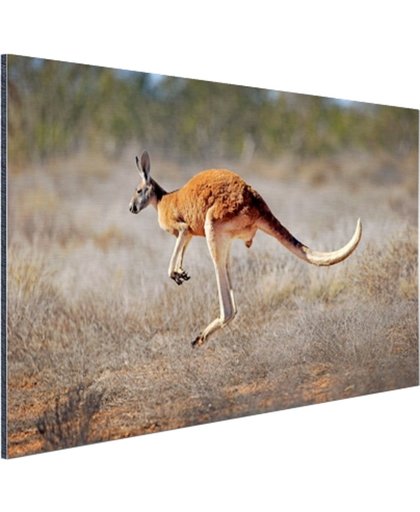 FotoCadeau.nl - Een springende kangoeroe Aluminium 120x80 cm - Foto print op Aluminium (metaal wanddecoratie)