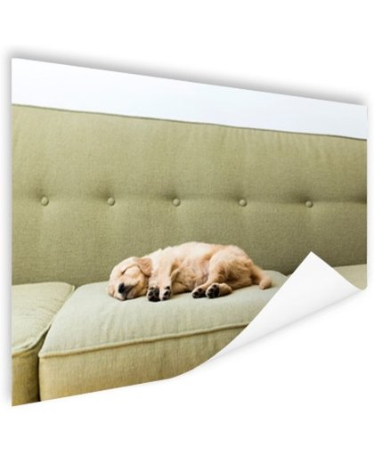 FotoCadeau.nl - Slapende puppy op de bank Poster 180x120 cm - Foto print op Poster (wanddecoratie)