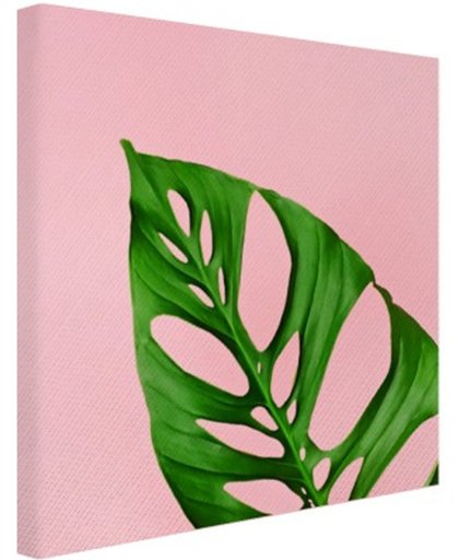 FotoCadeau.nl - Botanisch blad met roze achtergrond Canvas 100x100 cm - Foto print op Canvas schilderij (Wanddecoratie)