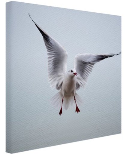FotoCadeau.nl - Vliegende meeuw Canvas 50x50 cm - Foto print op Canvas schilderij (Wanddecoratie)