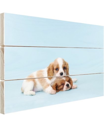 FotoCadeau.nl - Twee slaperige pups Hout 120x80 cm - Foto print op Hout (Wanddecoratie)