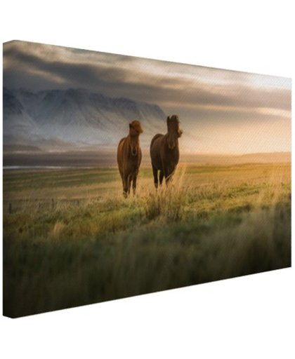 FotoCadeau.nl - IJslandse paarden in het veld Canvas 80x60 cm - Foto print op Canvas schilderij (Wanddecoratie)